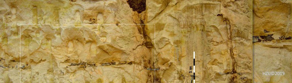 Profiel kalkwand in groeve Romontbos met platige vuursteenlagen en orgelpijpen, Romontbos horizon